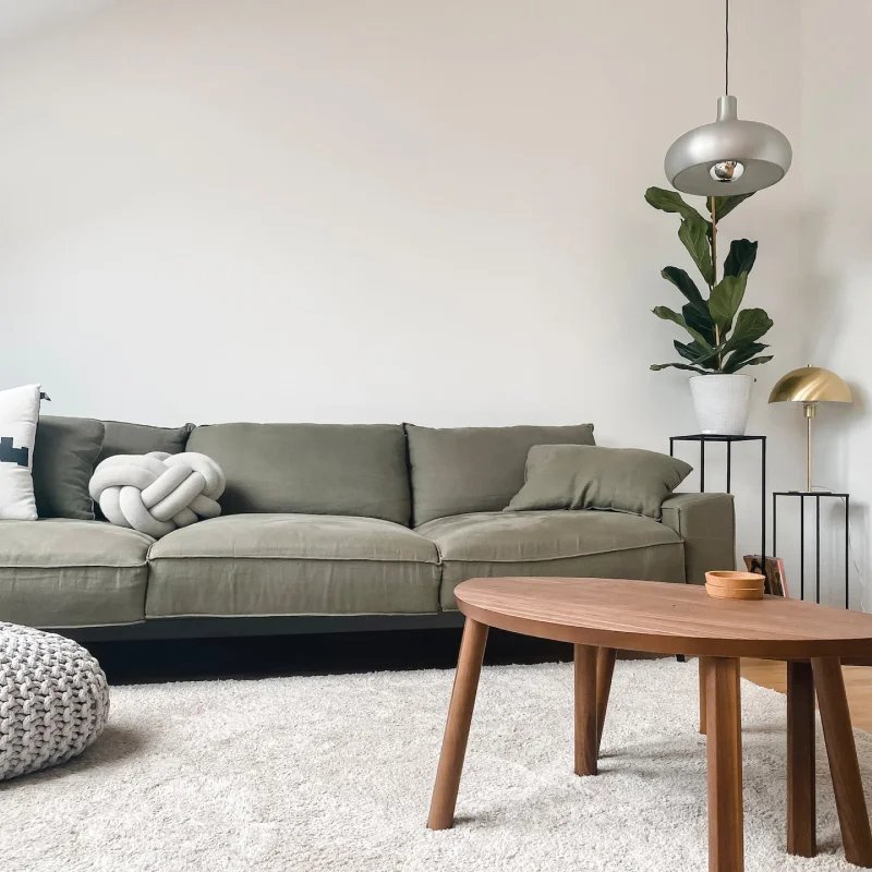 Carpet area rug in a minimalist living room