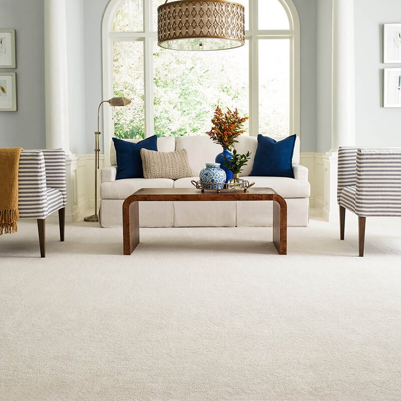 Plush carpet flooring in a cosy living room