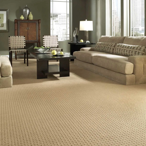 Textured Carpet options in Avon Indiana