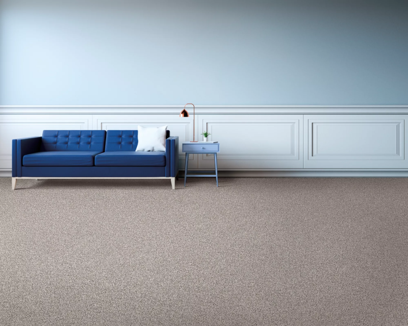 Open room with greige carpet flooring