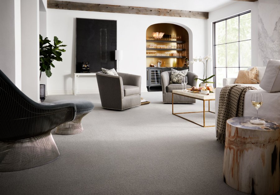 Stylish living room with carpet floors